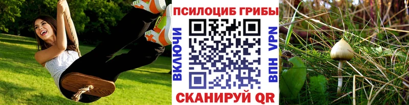 Галлюциногенные грибы Psilocybe Макушино